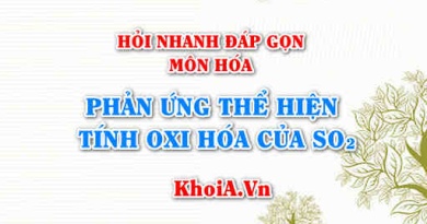 Phản ứng thể hiện tính Oxi hóa của SO2 (lưu huỳnh đioxit)? Hỏi nhanh đáp gọn môn Hóa